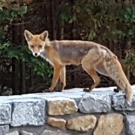 Playasonabia Apartman Orinon Kültér fotó